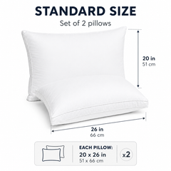 Pack of two white standard bed pillows